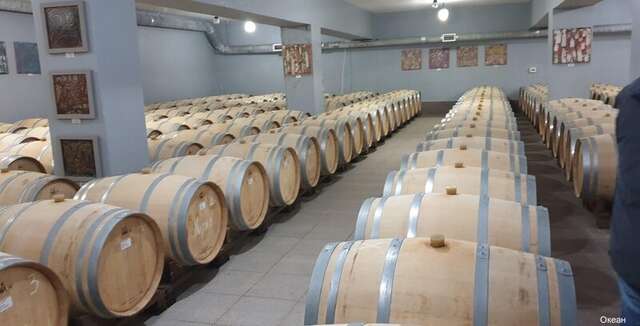 Гостиница Океан Новороссийск-29